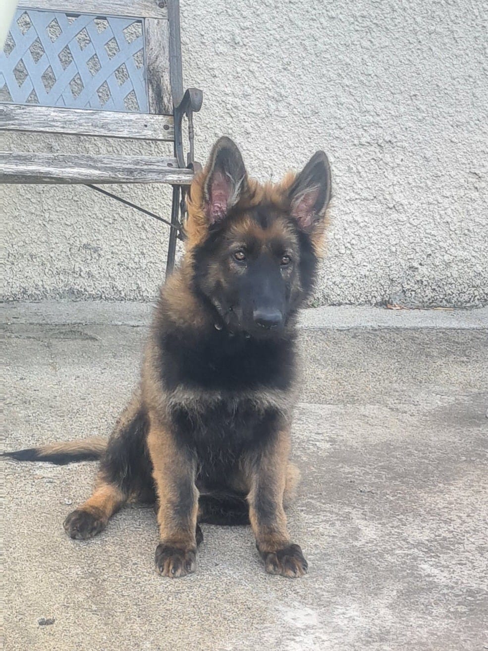 WhatsApp Image 2026-02-rbtyb20 at 09.43.36.jpeg